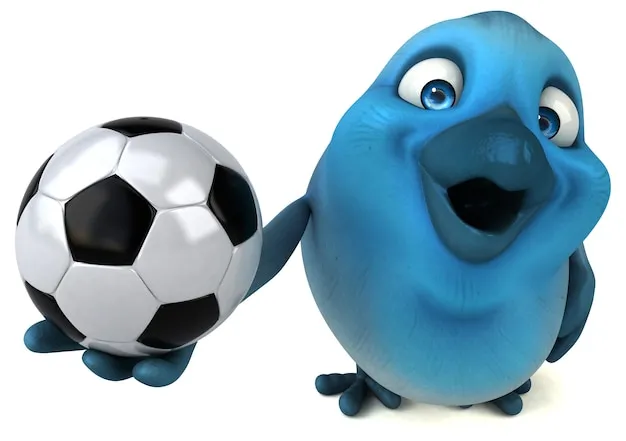 开云体育官方平台环境与服务